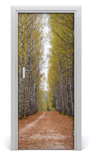 Fototapeta na dvere samolepiace Břízová les 85x205 cm