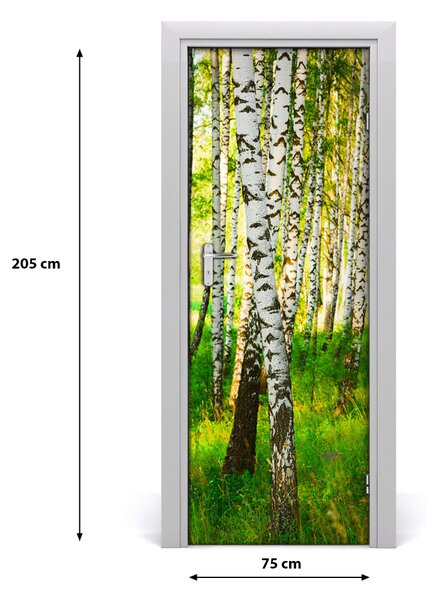 Fototapeta na dvere samolepiace Břízová les 75x205 cm