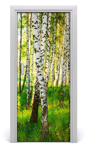 Fototapeta na dvere samolepiace Břízová les 85x205 cm