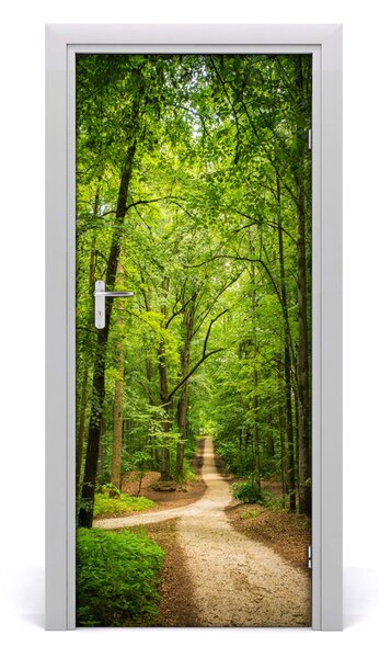 Fototapeta na dvere samolepiace chodník v lese 85x205 cm