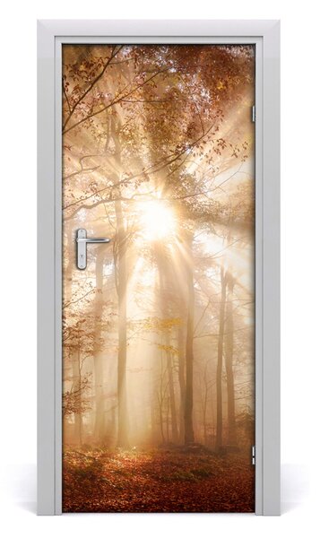 Fototapeta na dvere samolepiace les jeseň 85x205 cm