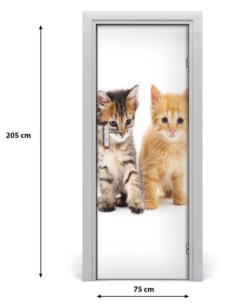 Samolepiace fototapety na dvere Sivá a červená mačka 75x205 cm