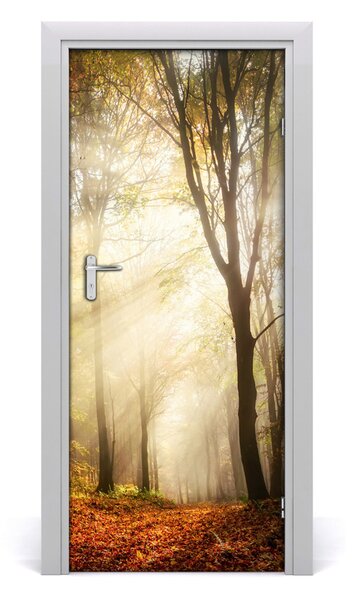 Fototapeta na dvere samolepiace les jeseň 85x205 cm