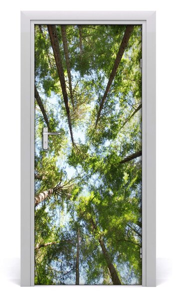 Fototapeta na dvere samolepiace koruna stromov 85x205 cm