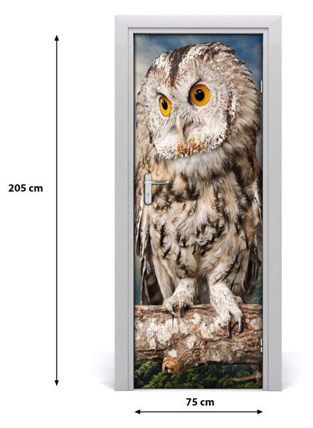 Samolepiace fototapety na dvere Sova na kopci 75x205 cm