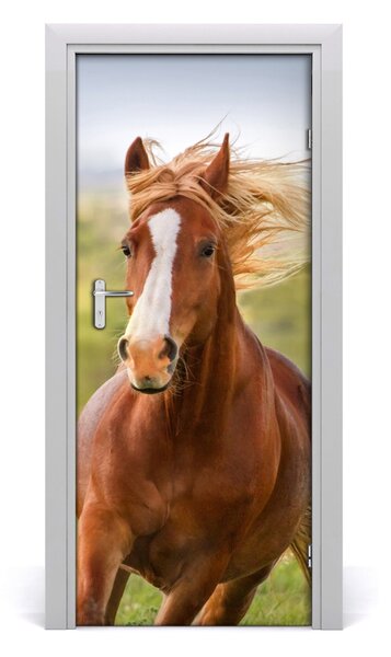Samolepiace fototapety na dvere Kôň v cvale 85x205 cm