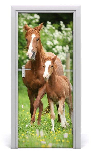 Samolepiace fototapety na dvere kobyla žrebec 85x205 cm
