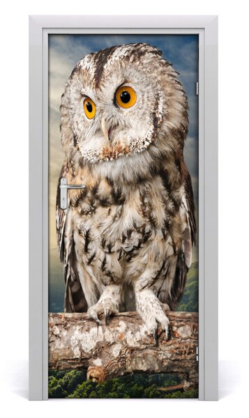 Samolepiace fototapety na dvere Sova na kopci 85x205 cm