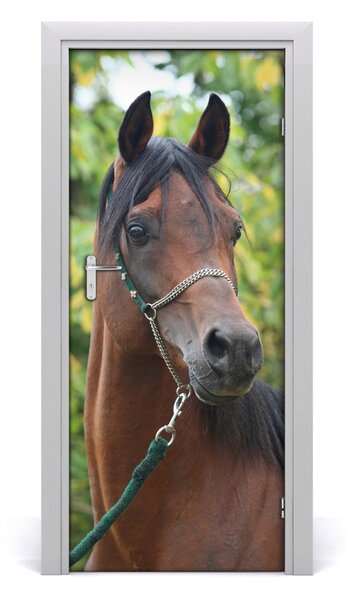 Samolepiace fototapety na dvere kôň portrét 85x205 cm