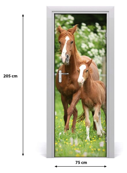 Samolepiace fototapety na dvere kobyla žrebec 75x205 cm