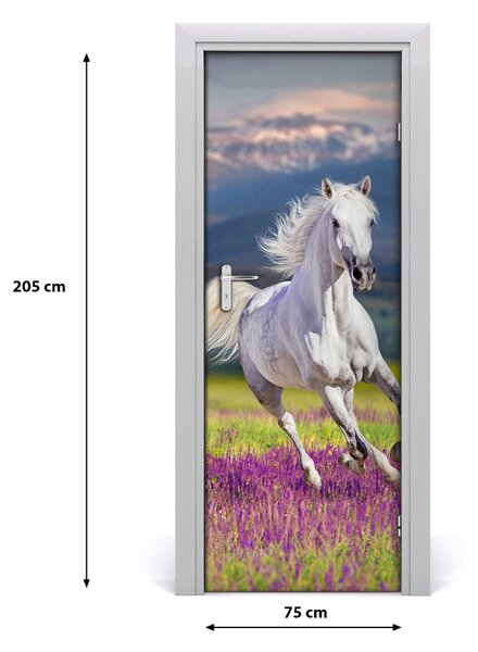 Samolepiace fototapety na dvere biely kôň 75x205 cm