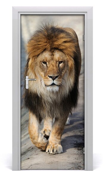 Samolepiace fototapety na dvere Lev portrét 85x205 cm