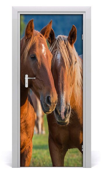 Samolepiace fototapety na dvere dva kone 85x205 cm