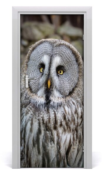 Samolepiace fototapety na dvere Sova na kopci 85x205 cm