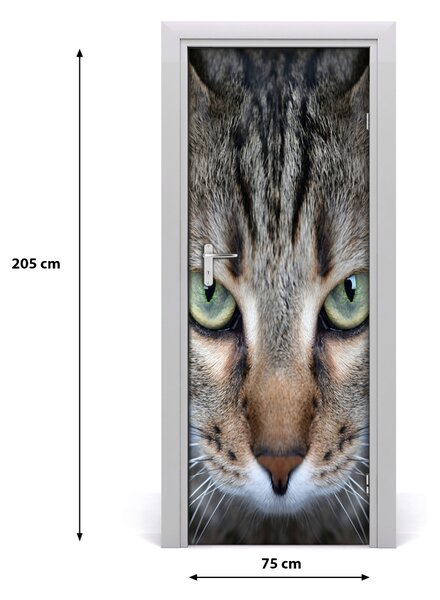 Samolepiace fototapety na dvere oči mačky 75x205 cm