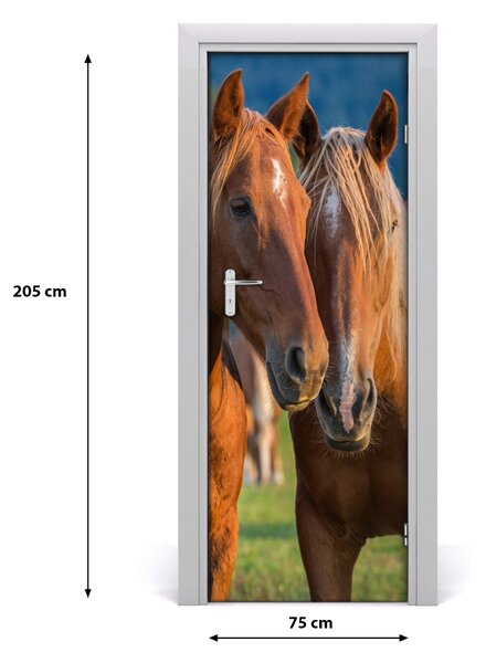 Samolepiace fototapety na dvere dva kone 75x205 cm