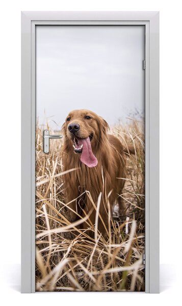 Samolepiace fototapety na dvere golden retriever 85x205 cm