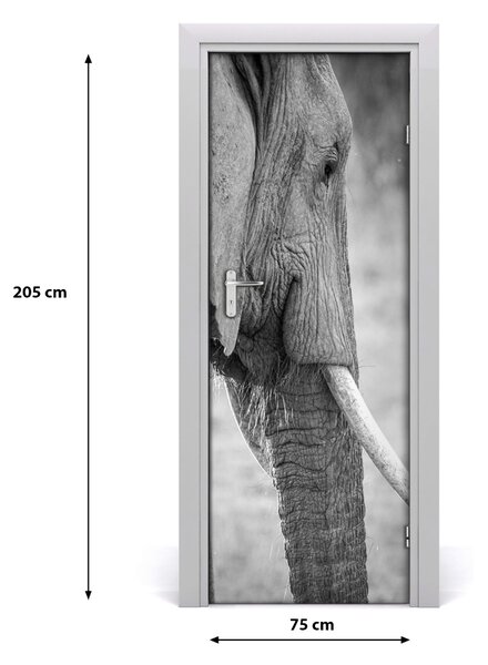 Samolepiace fototapety na dvere slon 75x205 cm