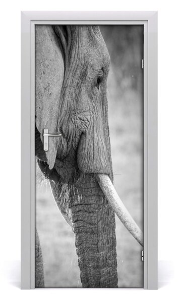 Samolepiace fototapety na dvere slon 85x205 cm