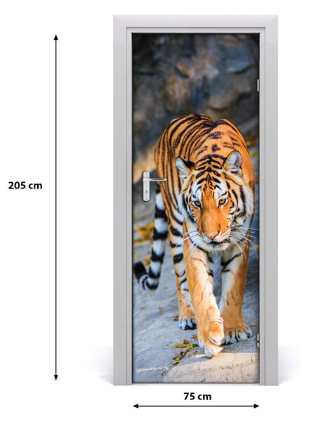 Samolepiace fototapety na dvere tiger 75x205 cm