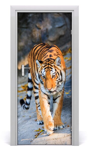 Samolepiace fototapety na dvere tiger 85x205 cm