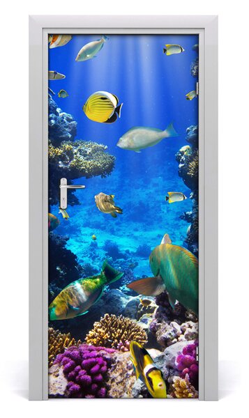 Samolepiace fototapety na dvere koralový útes 85x205 cm