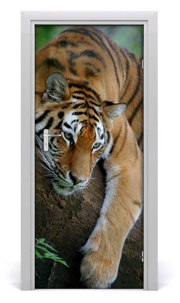 Samolepiace fototapety na dvere tiger na strome 85x205 cm