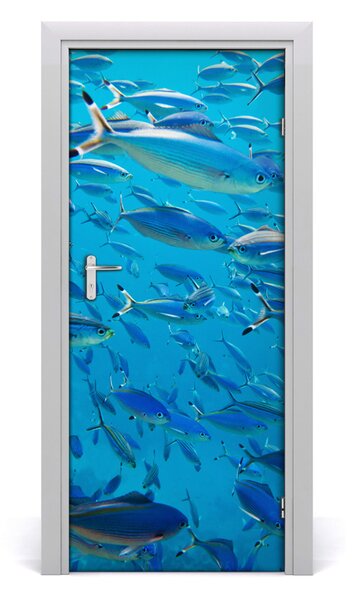 Samolepiace fototapety na dvere koralové ryby 85x205 cm