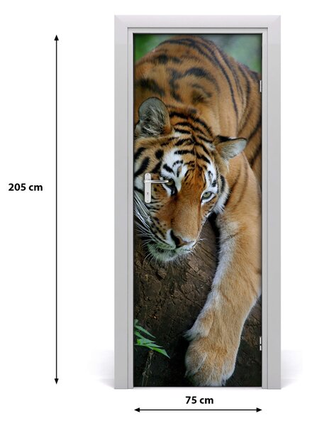 Samolepiace fototapety na dvere tiger na strome 75x205 cm