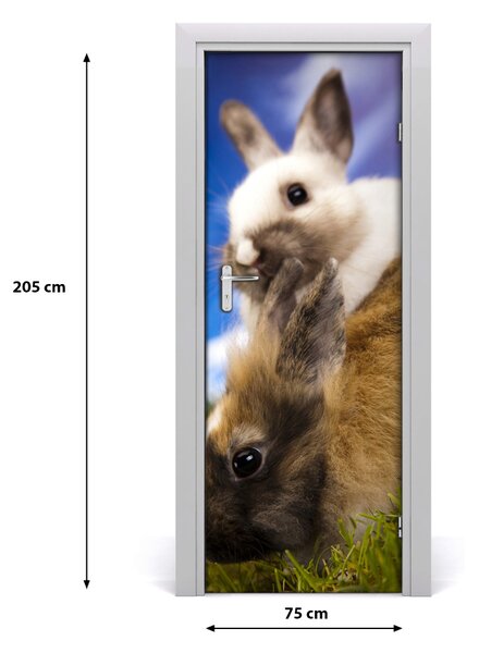 Samolepiace fototapety na dvere dva králiky 75x205 cm