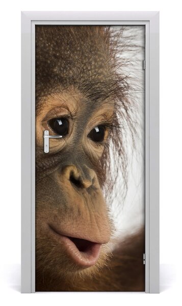 Samolepiace fototapety na dvere mladý orangutan 85x205 cm