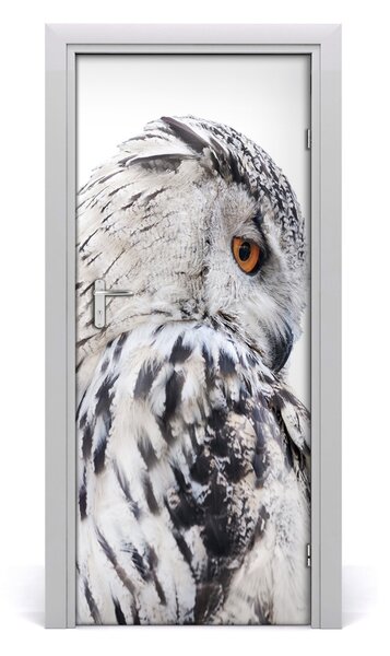 Samolepiace fototapety na dvere biela sova 85x205 cm