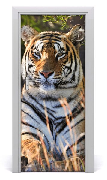 Samolepiace fototapety na dvere tiger 85x205 cm
