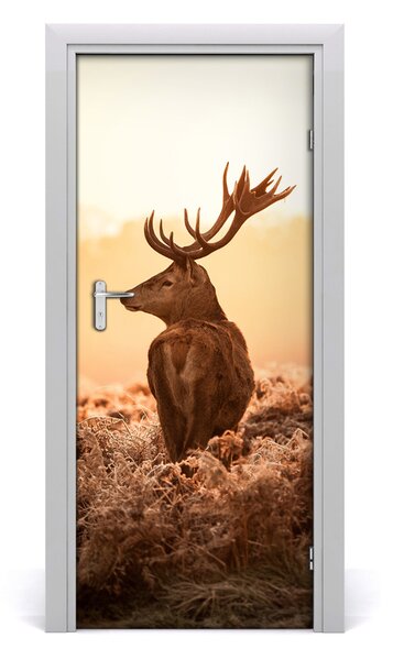 Samolepiace fototapety na dvere jeleň východ 85x205 cm