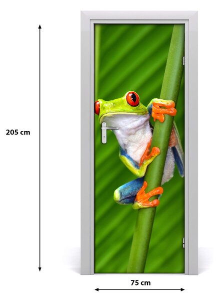 Samolepiace fototapety na dvere rosnička zelená 75x205 cm