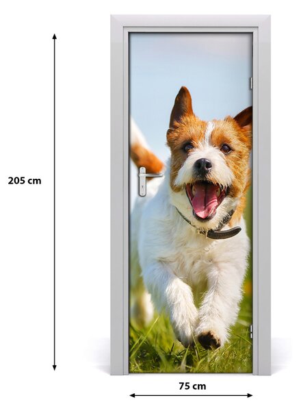 Samolepiace fototapety na dvere Jack Rusell 75x205 cm