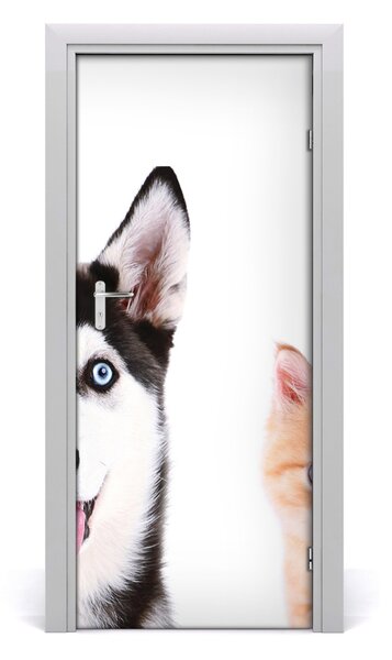 Samolepiace fototapety na dvere Pes a mačka 85x205 cm