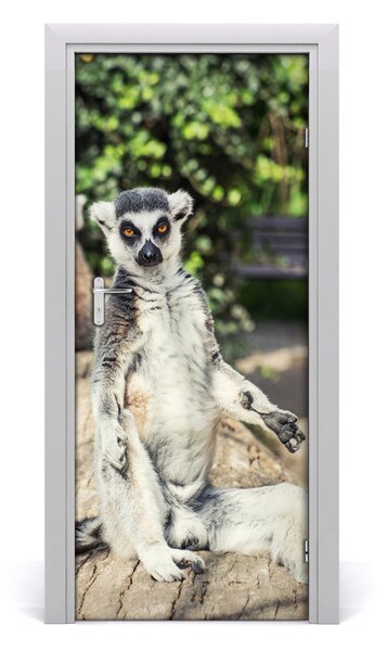 Samolepiace fototapety na dvere lemur 85x205 cm