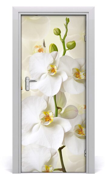 Fototapeta na dvere biela orchidea 85x205 cm