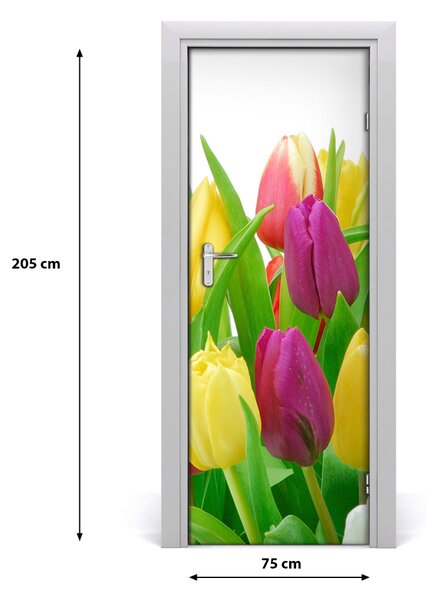 Fototapeta na dvere kvety tulipány 75x205 cm