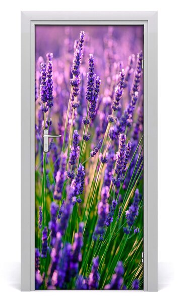 Fototapeta na dvere pole levanduľa 85x205 cm