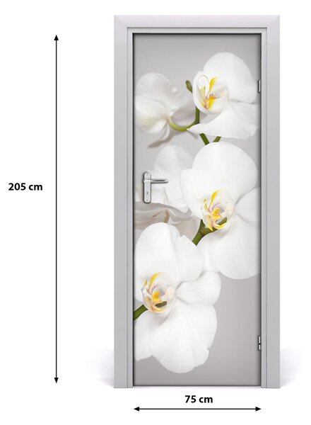 Fototapeta na dvere biela orchidea 75x205 cm