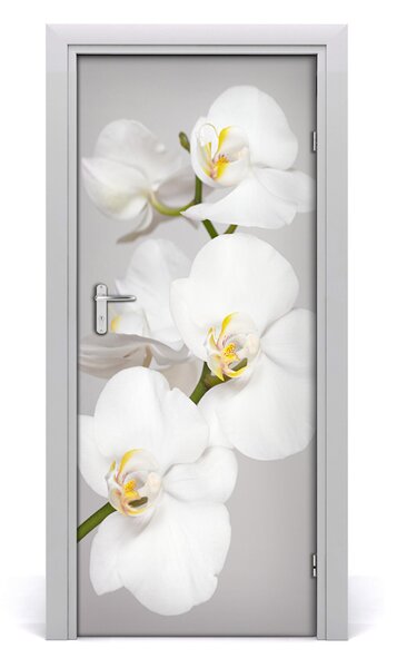 Fototapeta na dvere biela orchidea 85x205 cm