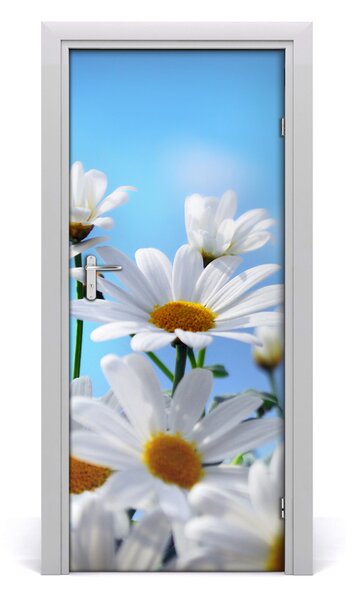 Fototapeta na dvere Sedmikárska 85x205 cm