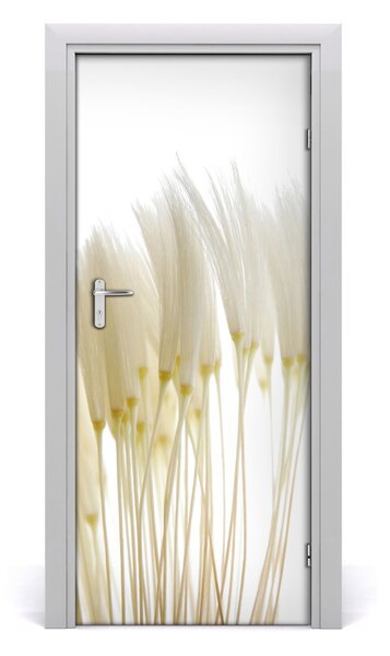 Fototapeta na dvere púpava 85x205 cm