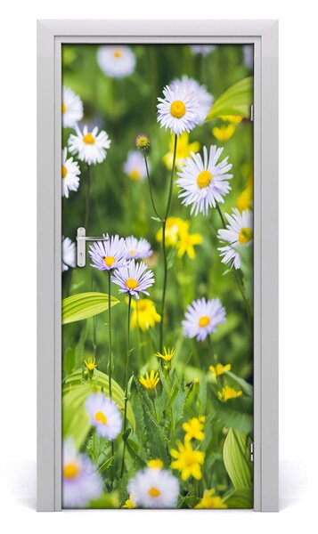 Fototapeta na dvere Sedmikárska 85x205 cm