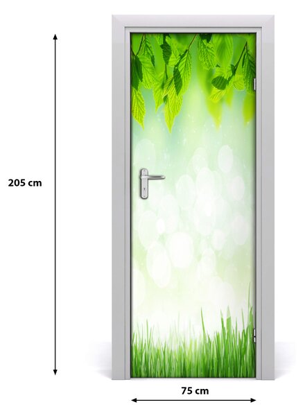 Fototapeta na dvere lístie tráva 75x205 cm
