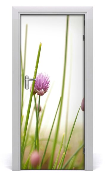 Fototapeta na dvere pažítka 85x205 cm