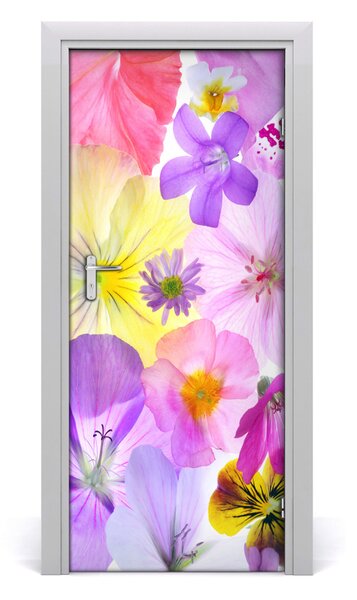 Fototapeta na dvere farebné kvety 85x205 cm