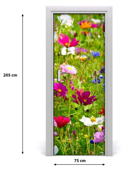 Fototapeta na dvere poľné kvety 75x205 cm